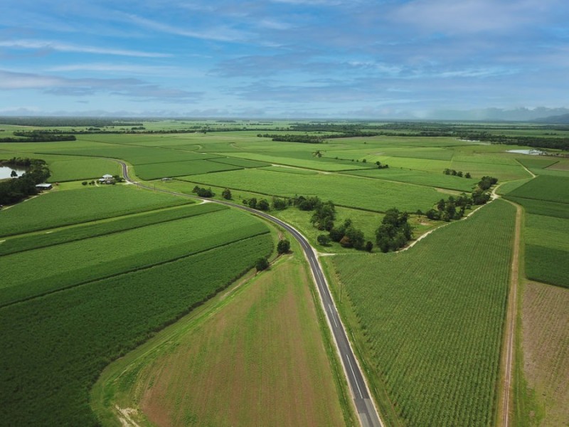 238 Davidson Road, Tully QLD 4854
