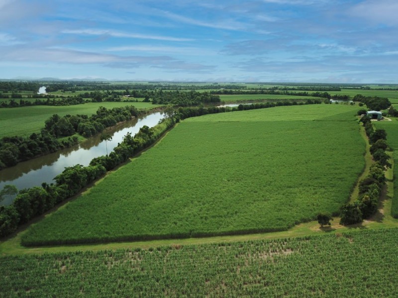 238 Davidson Road, Tully QLD 4854