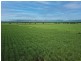 238 Davidson Road, Tully QLD 4854