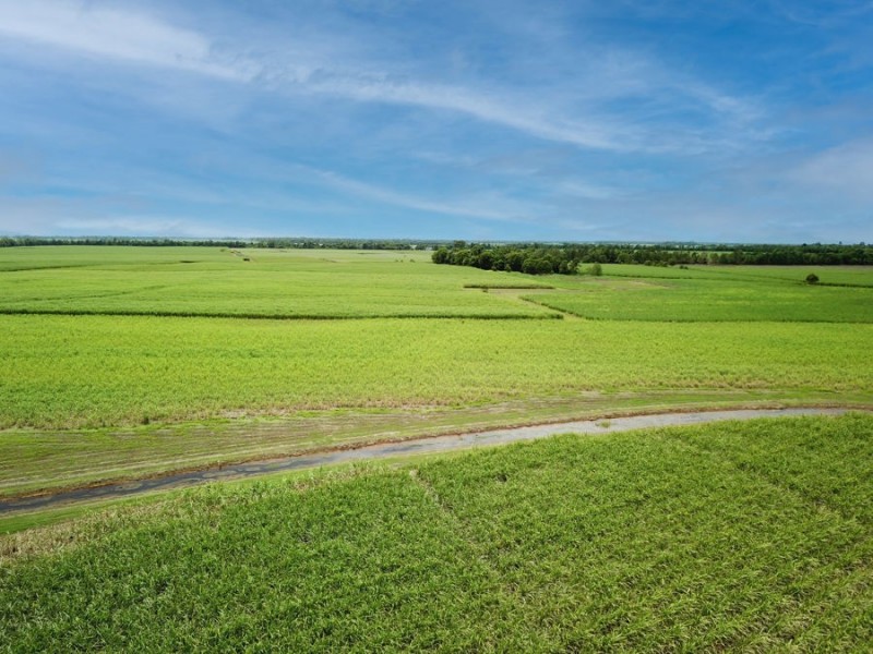 238 Davidson Road, Tully QLD 4854