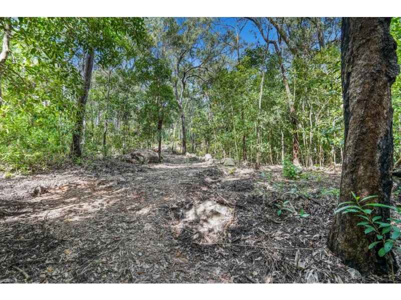 2298 Pine Creek-Yarrabah Road, East Trinity QLD 4871