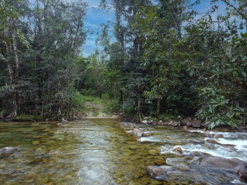 Lot 34 North Davidson Rd, Cardstone QLD 4854