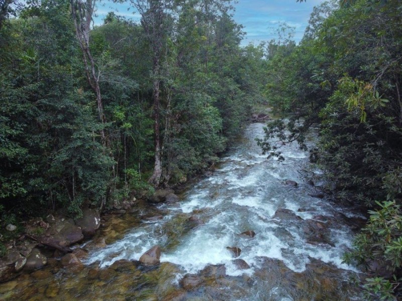 Lot 34 North Davidson Rd, Cardstone QLD 4854