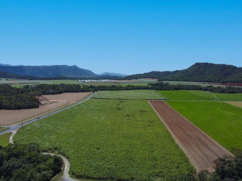 505 Mount Peter Road, Mount Peter QLD 4869