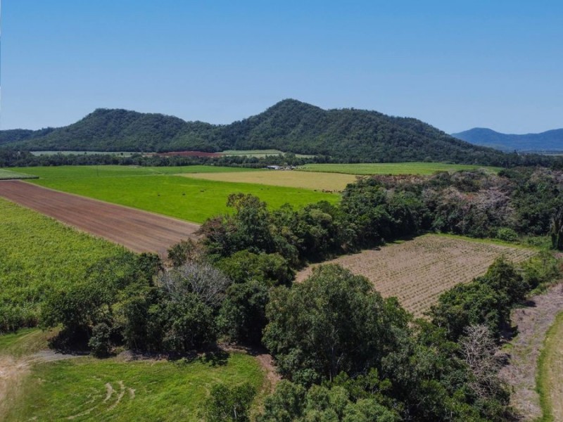 505 Mount Peter Road, Mount Peter QLD 4869