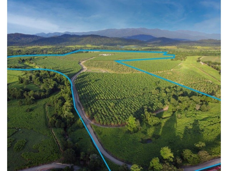 1052 North Davidson Rd, Munro Plains QLD 4854