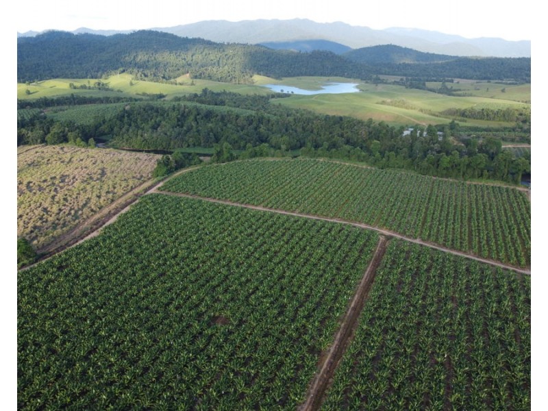 1052 North Davidson Rd, Munro Plains QLD 4854