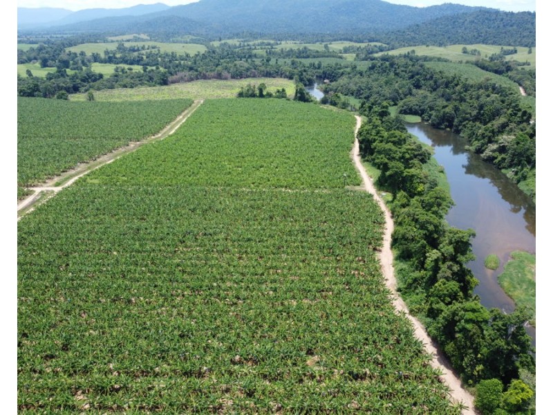 1052 North Davidson Rd, Munro Plains QLD 4854