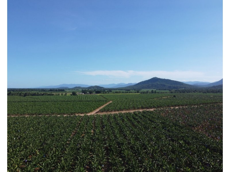 1052 North Davidson Rd, Munro Plains QLD 4854