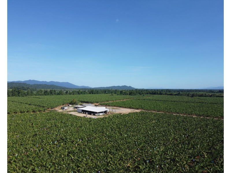 1052 North Davidson Rd, Munro Plains QLD 4854