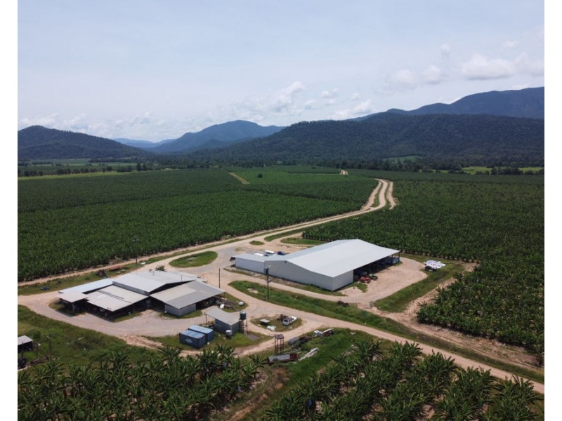 1052 North Davidson Rd, Munro Plains QLD 4854