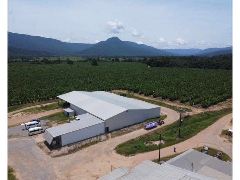 1052 North Davidson Rd, Munro Plains QLD 4854