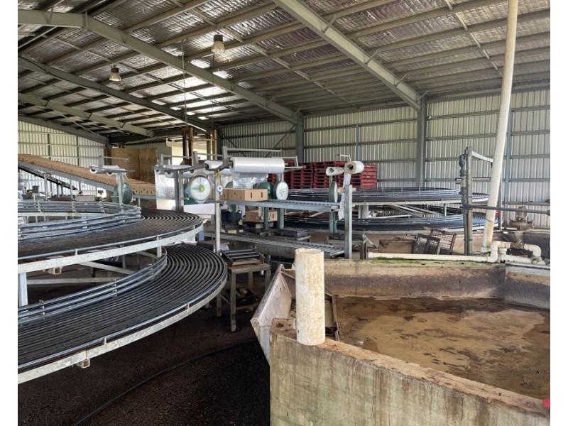 1052 North Davidson Rd, Munro Plains QLD 4854