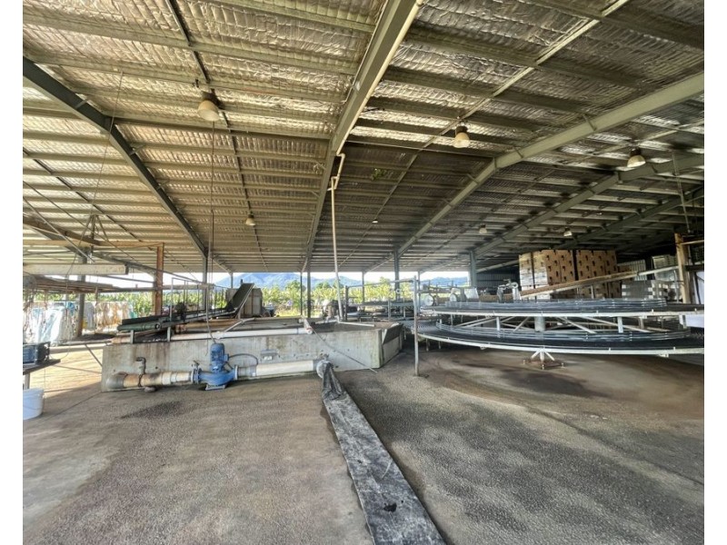 1052 North Davidson Rd, Munro Plains QLD 4854