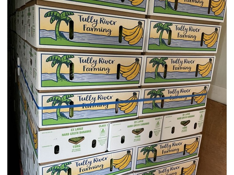 1052 North Davidson Rd, Munro Plains QLD 4854