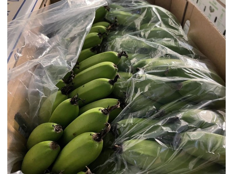 1052 North Davidson Rd, Munro Plains QLD 4854