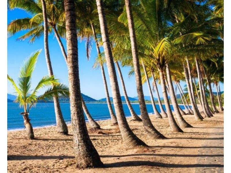 6/33-41 Cedar Road, Palm Cove QLD 4879