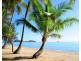 12/33-41 Cedar Road, Palm Cove QLD 4879