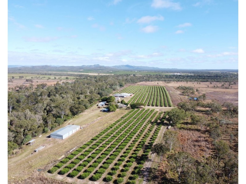 211 Bruce Weir Road, Dimbulah QLD 4872