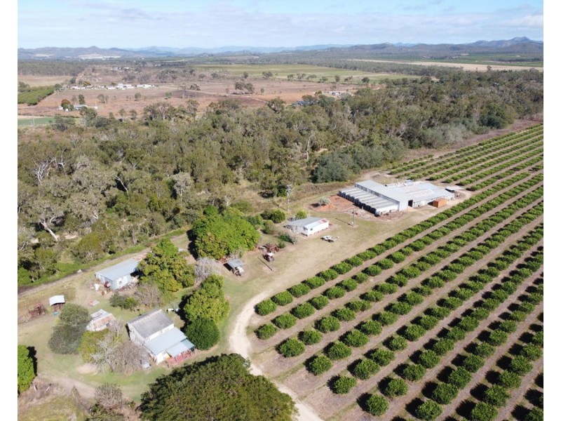 211 Bruce Weir Road, Dimbulah QLD 4872