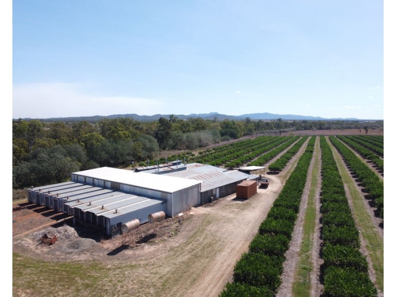 211 Bruce Weir Road, Dimbulah QLD 4872