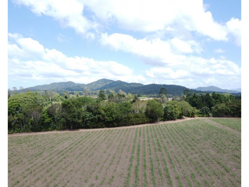 275 Bartle Frere Road, Bartle Frere QLD 4861