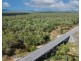 Lot 100 Peninsula Developmental Road, Lakeland QLD 4871