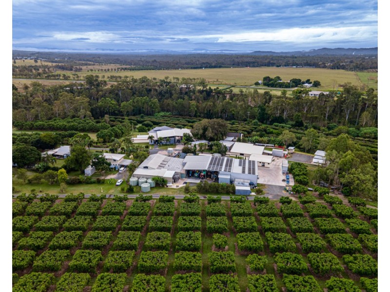 49 Fichera Road, Mareeba QLD 4880