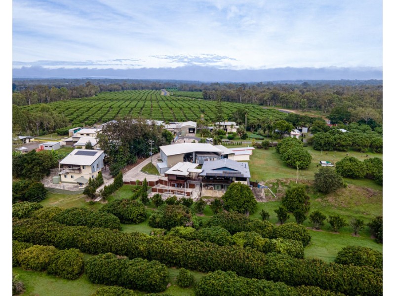 49 Fichera Road, Mareeba QLD 4880