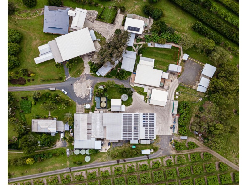 49 Fichera Road, Mareeba QLD 4880