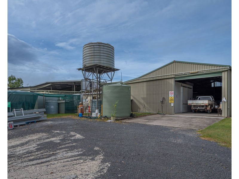 49 Fichera Road, Mareeba QLD 4880