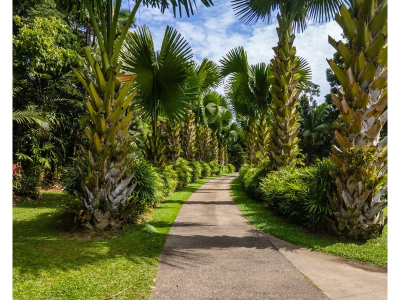 508 Dinner Creek Road, Eubenangee QLD 4860