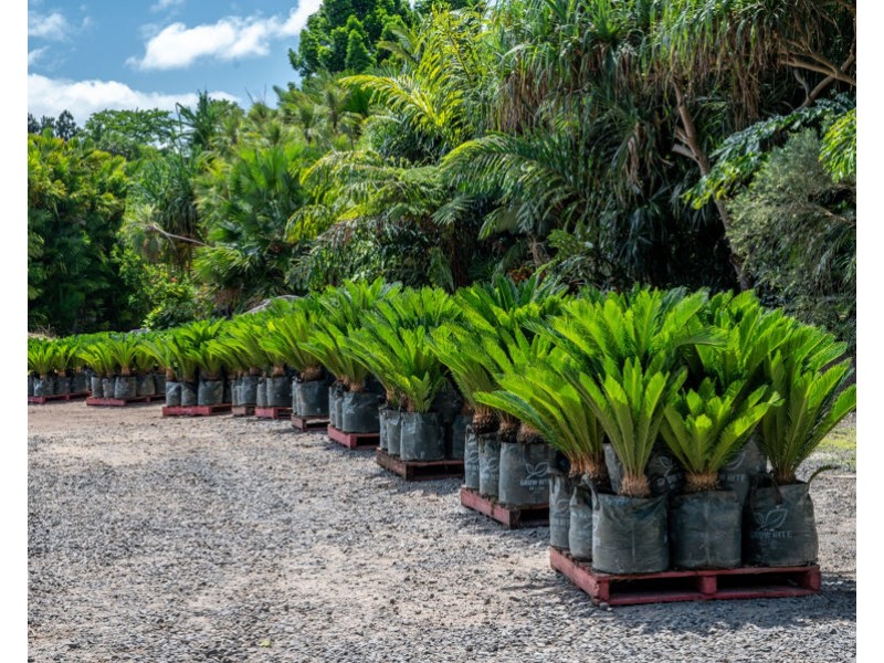 508 Dinner Creek Road, Eubenangee QLD 4860