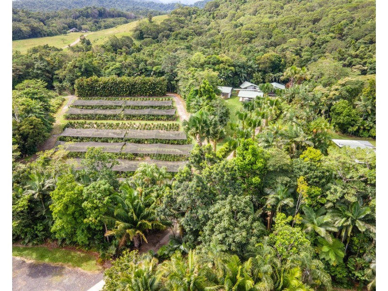 508 Dinner Creek Road, Eubenangee QLD 4860