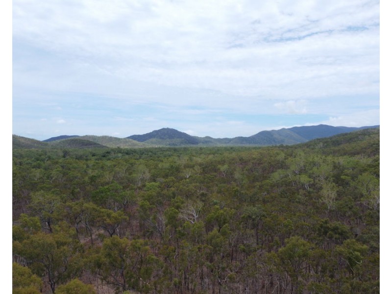 3037 Mulligan Highway, Cooktown QLD 4895