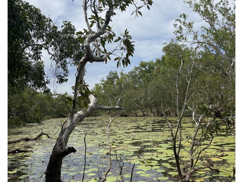 3037 Mulligan Highway, Cooktown QLD 4895