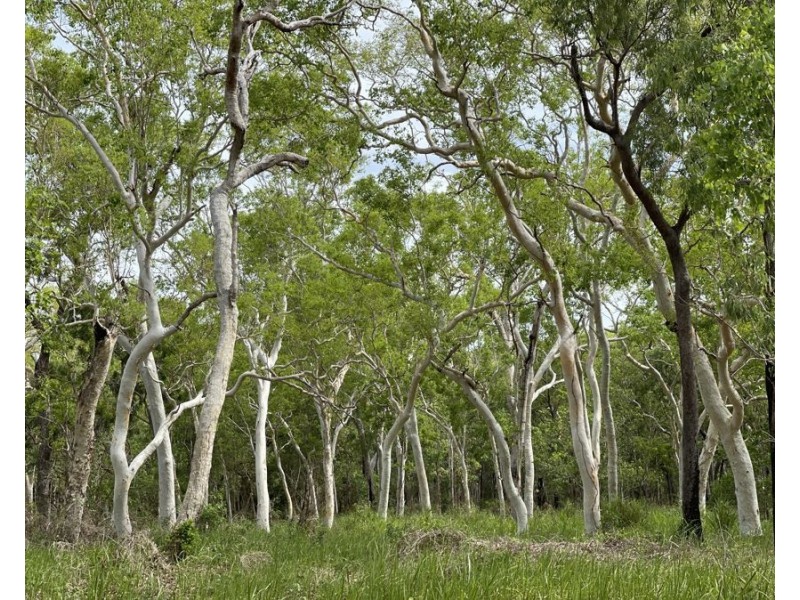 3037 Mulligan Highway, Cooktown QLD 4895