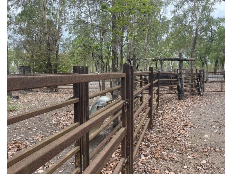 3037 Mulligan Highway, Cooktown QLD 4895