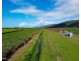 1 & 2 Captain Cook Highway, Killaloe QLD 4877