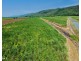 1 & 2 Captain Cook Highway, Killaloe QLD 4877