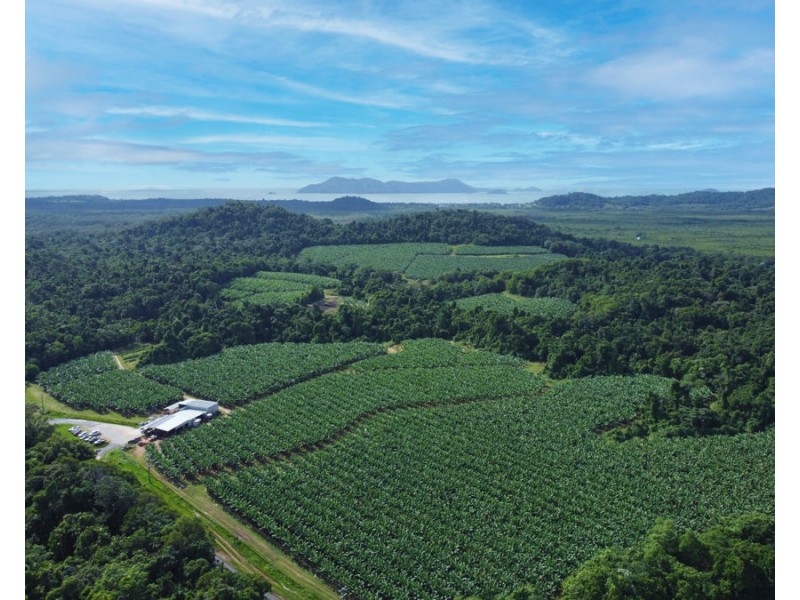 1300 Tully Mission Beach Road, Carmoo QLD 4852