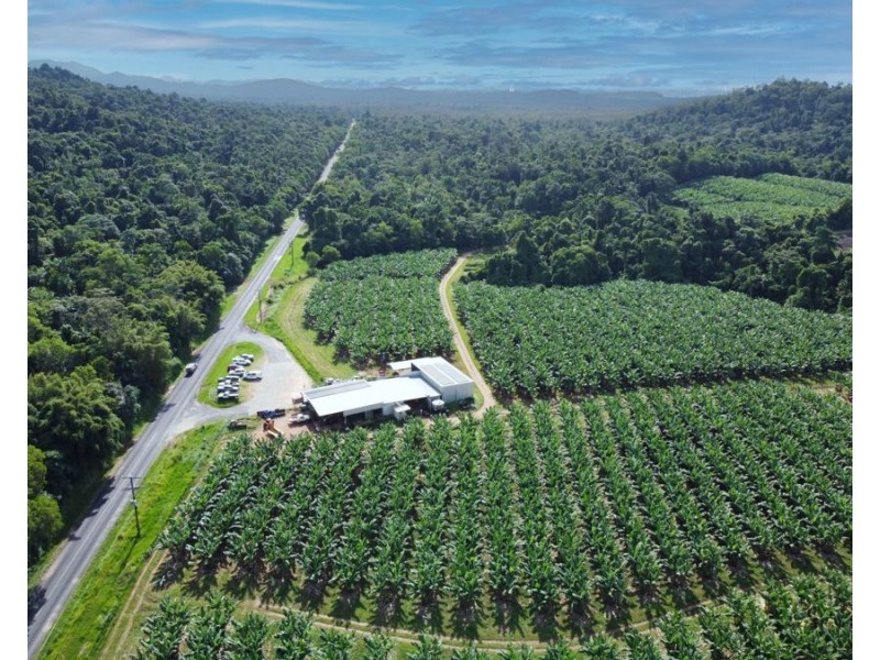 1300 Tully Mission Beach Road, Carmoo QLD 4852