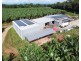 1300 Tully Mission Beach Road, Carmoo QLD 4852