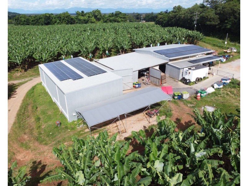 1300 Tully Mission Beach Road, Carmoo QLD 4852
