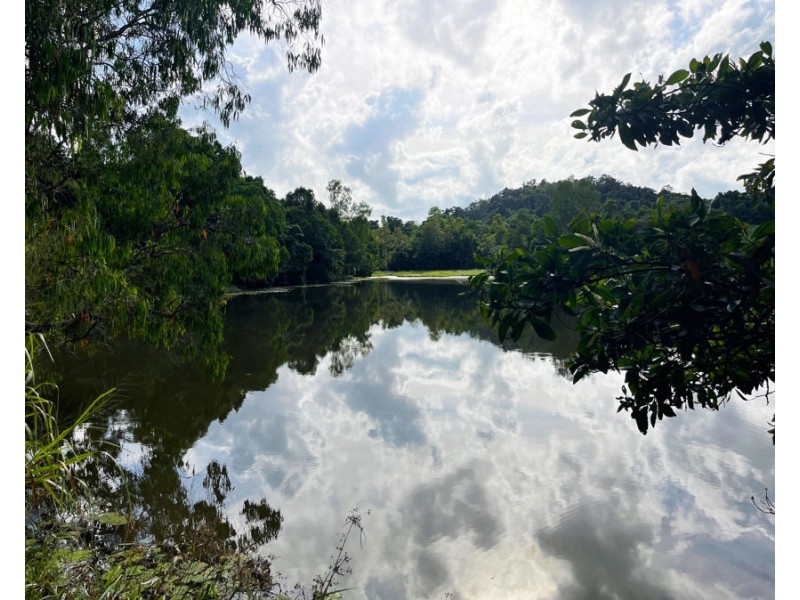 1300 Tully Mission Beach Road, Carmoo QLD 4852