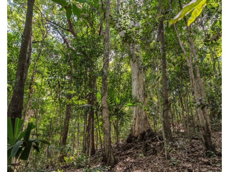 10 Flinders Court, Smithfield QLD 4878