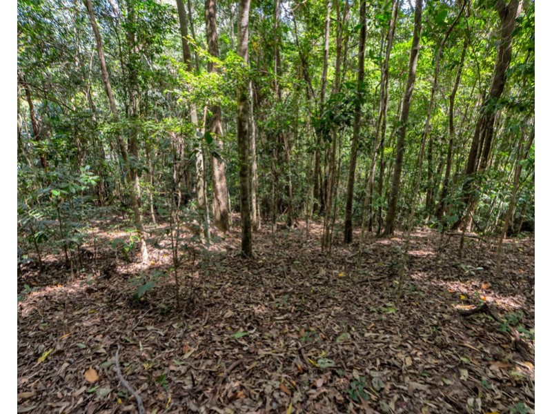 10 Flinders Court, Smithfield QLD 4878