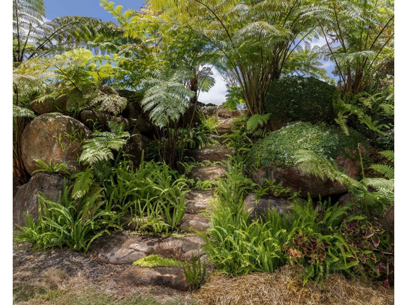 69 Topaz Road, Malanda QLD 4885