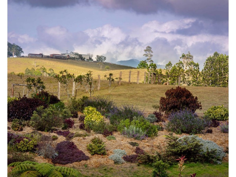 69 Topaz Road, Malanda QLD 4885