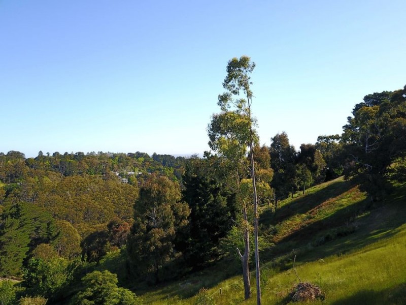 1a Atkinson Road, Crafers West SA 5152